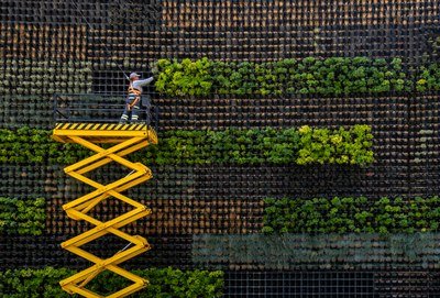 Innovation opportunities in the bioeconomy