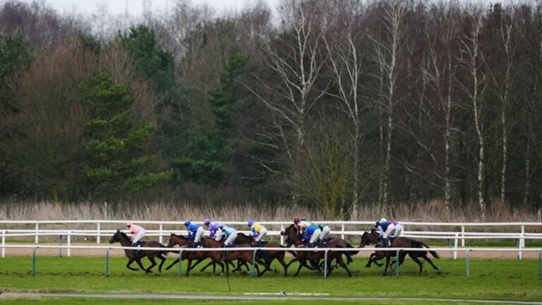 Novelista chases a first success at Southwell