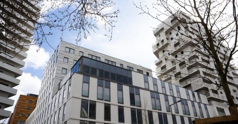 The inside story of how France clinched the EU’s new customs authority