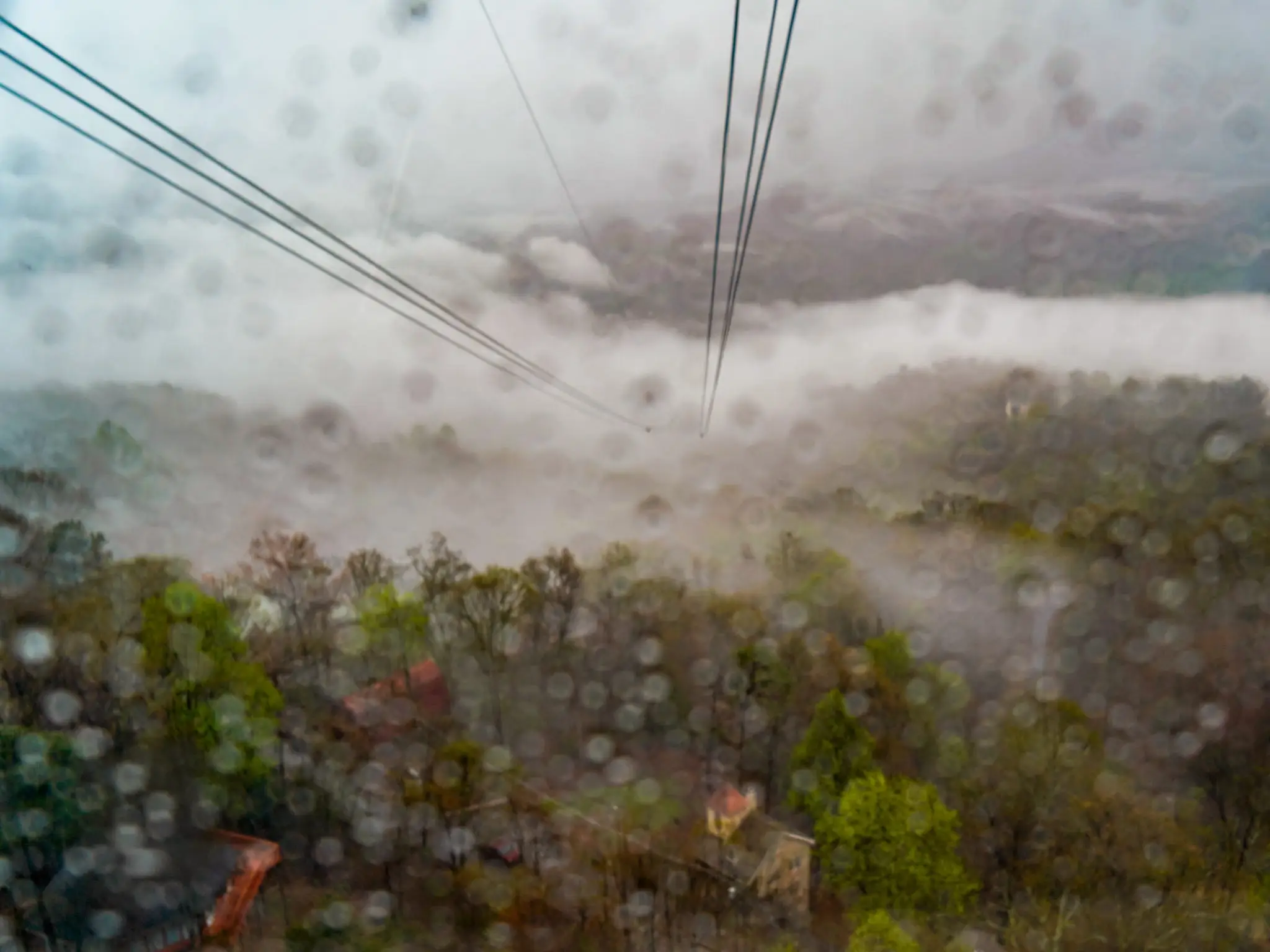 A view of the mountains from the tram ride.