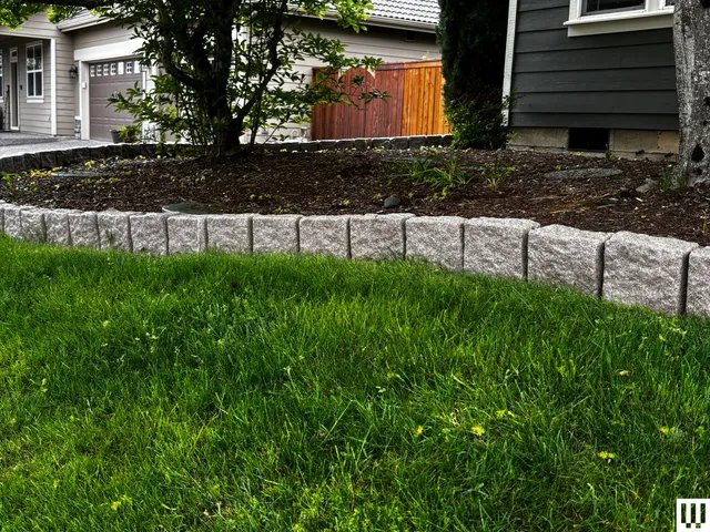 Image may contain: Backyard, Grass, Nature, Outdoors, Plant, Yard, Lawn, Indoors, Interior Design, Vegetation, and Garden