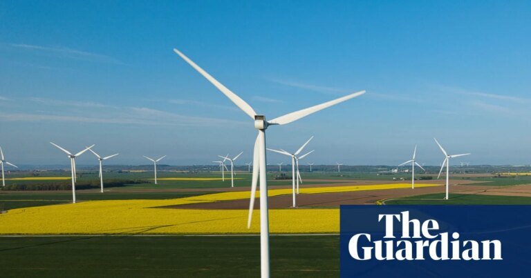 ‘Climate solutions will bring down bills and restore nature’: green issues and May elections