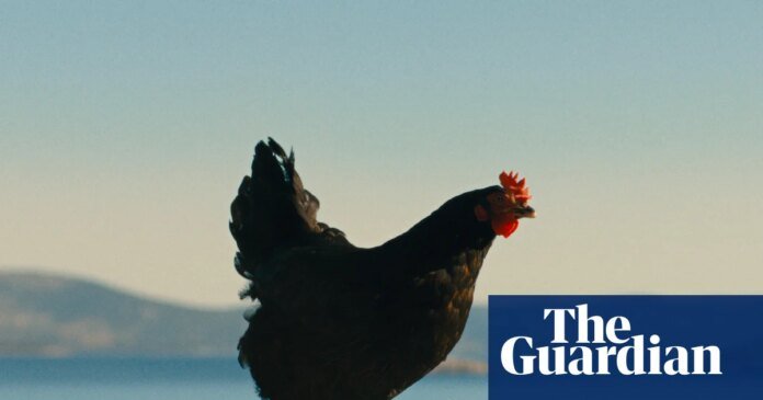 ‘Somehow you become the chicken’: inside the film about people-smuggling