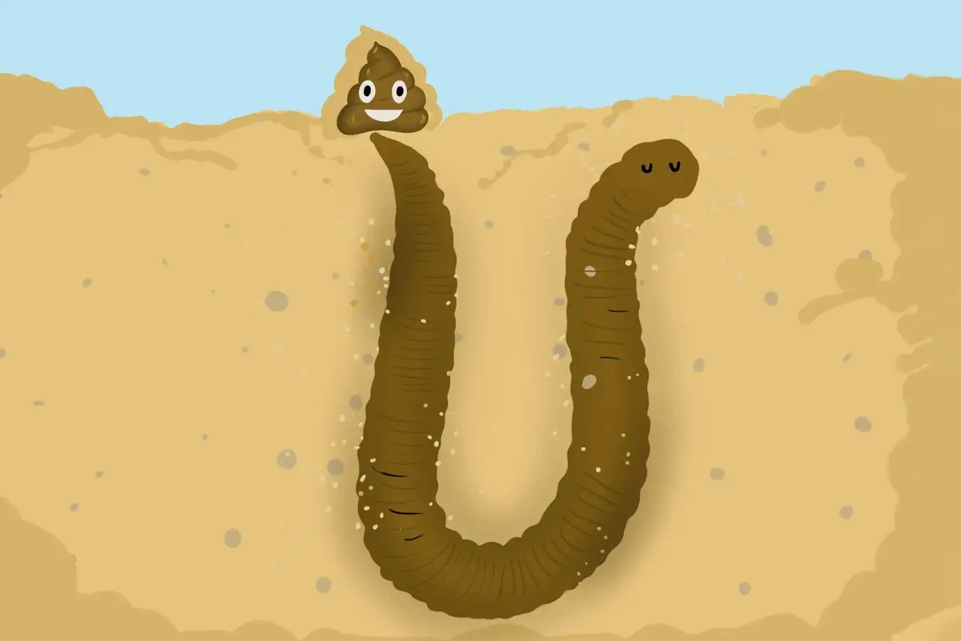 A surprisingly detailed look at the physics of a lugworm's poop