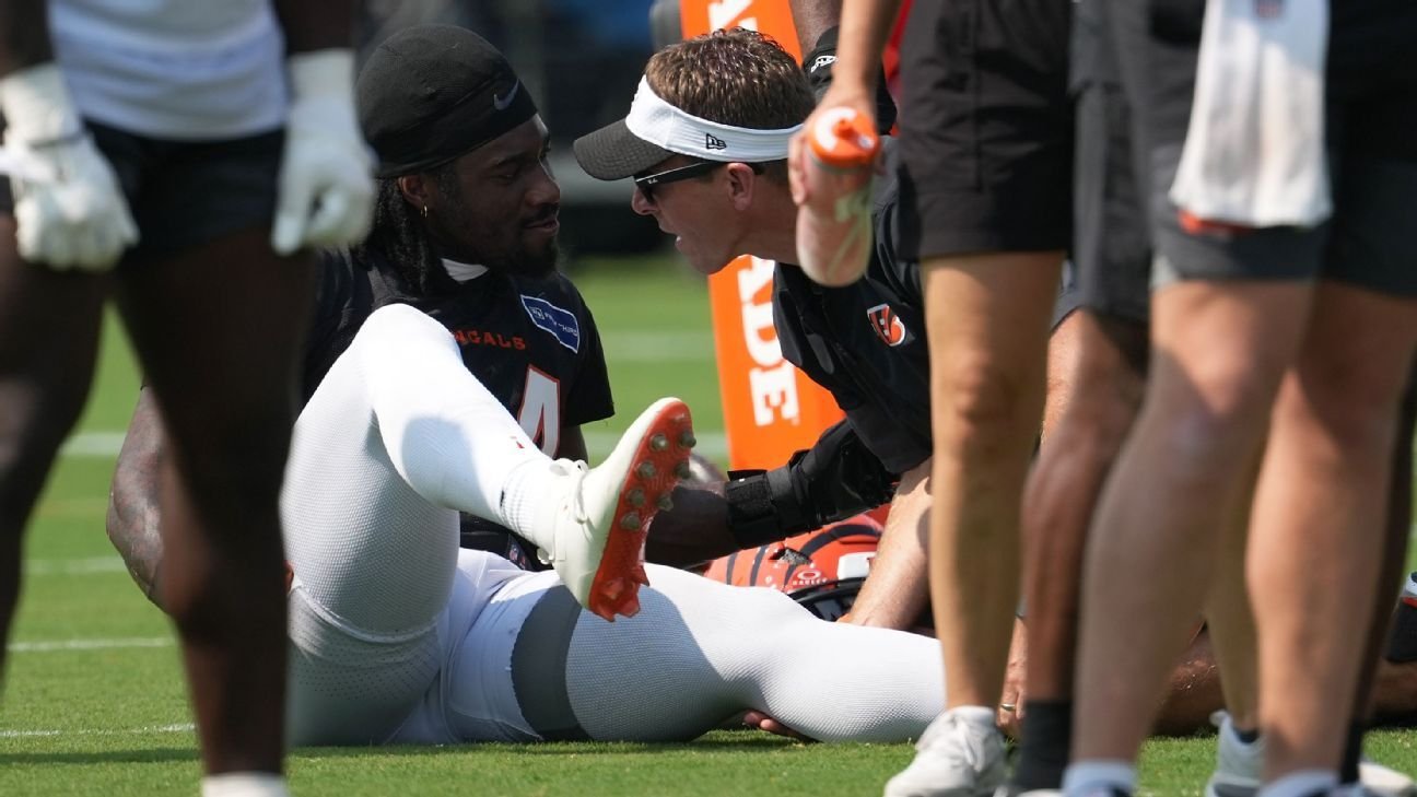 Bengals' Stewart carted off with left leg injury