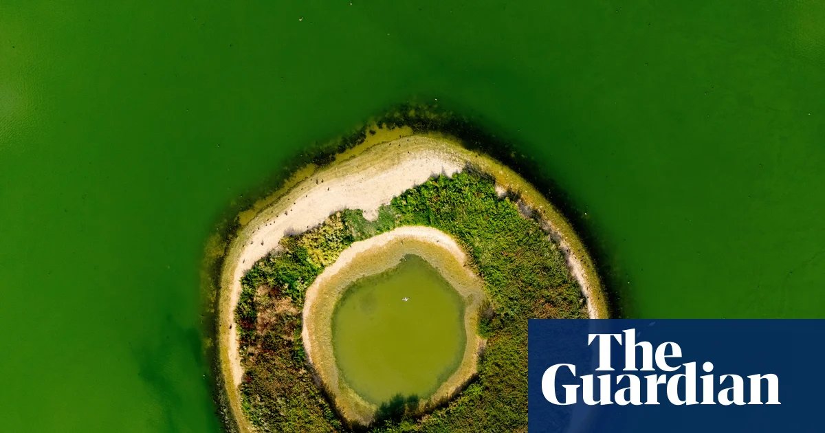 Blame privatised water firms for hosepipe bans | Lettters