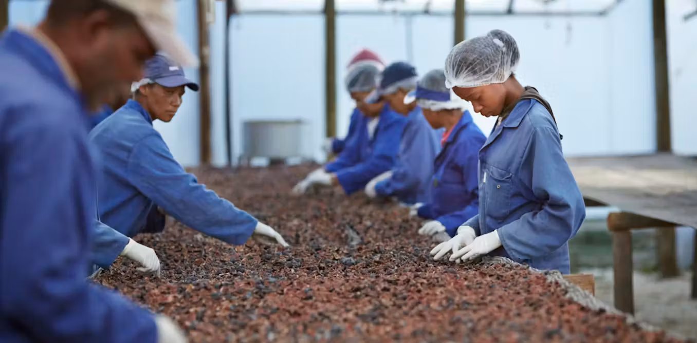 China is funding African farmers but not food processing and