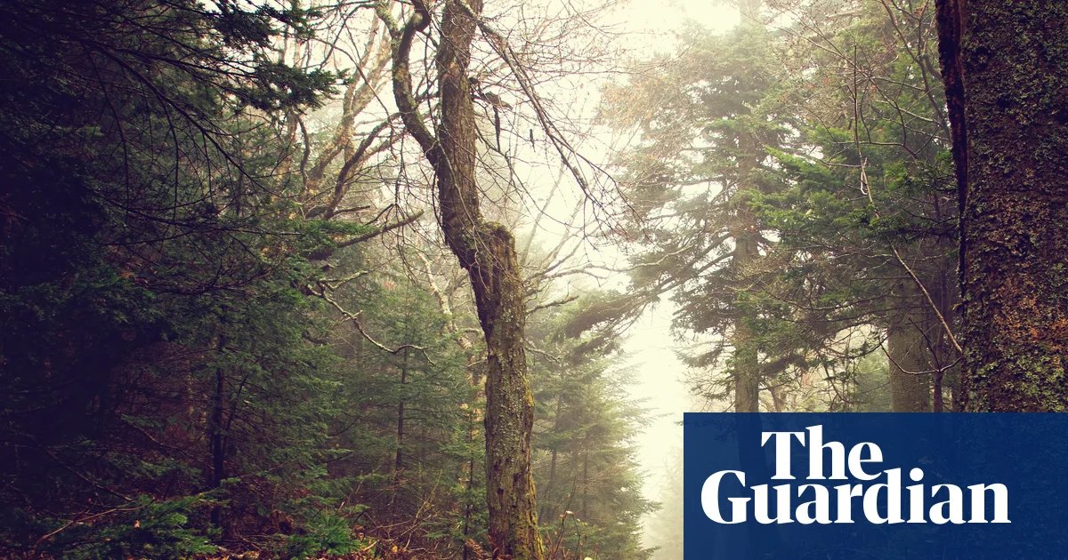 Country People by Daniel Mason review – a joyful follow-up