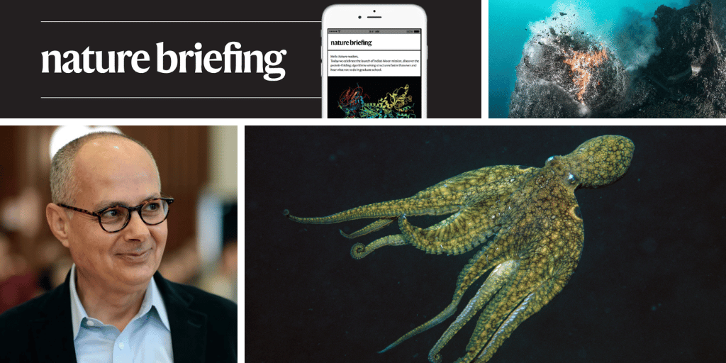 Daily briefing: Mutation lets octopuses make proteins with precision