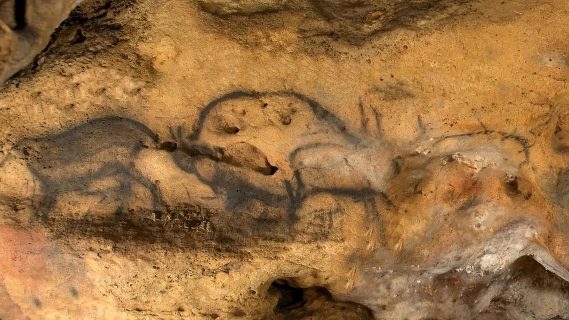 Hidden charcoal reveals the true age of ancient cave paintings