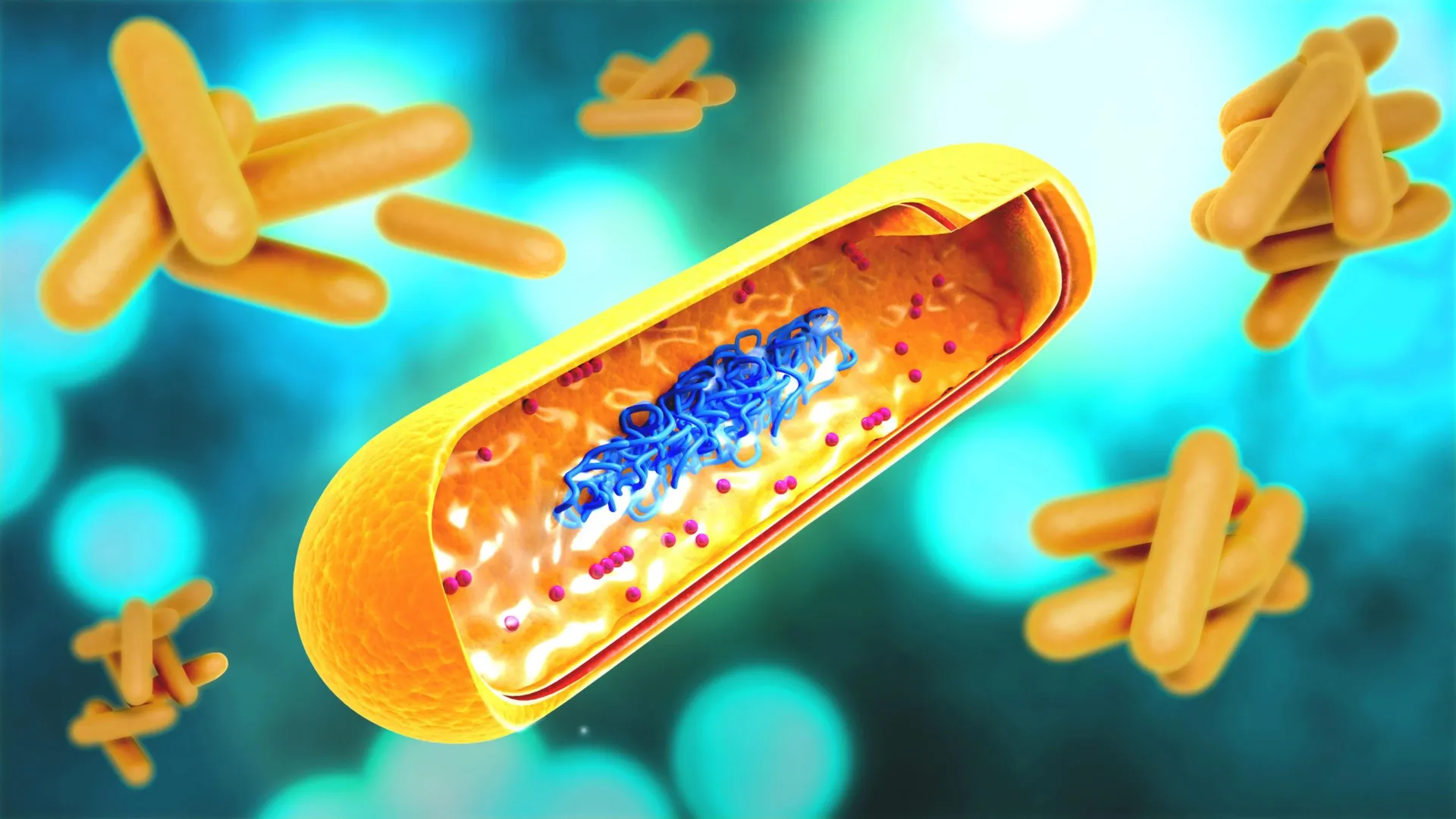 Johns Hopkins scientists develop nose spray DNA vaccine for tuberculosis