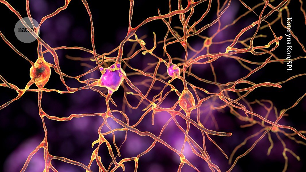 Personalized gene therapy relieves severe epilepsy in two boys Personalized gene therapy relieves severe epilepsy in two boys