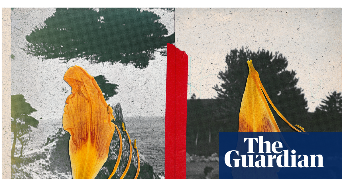 We know how to mourn other humans – but what