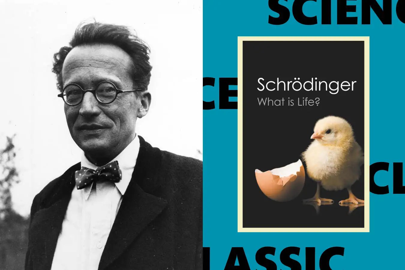 Why Schrödinger's 1944 classic What Is Life? still feels prescient