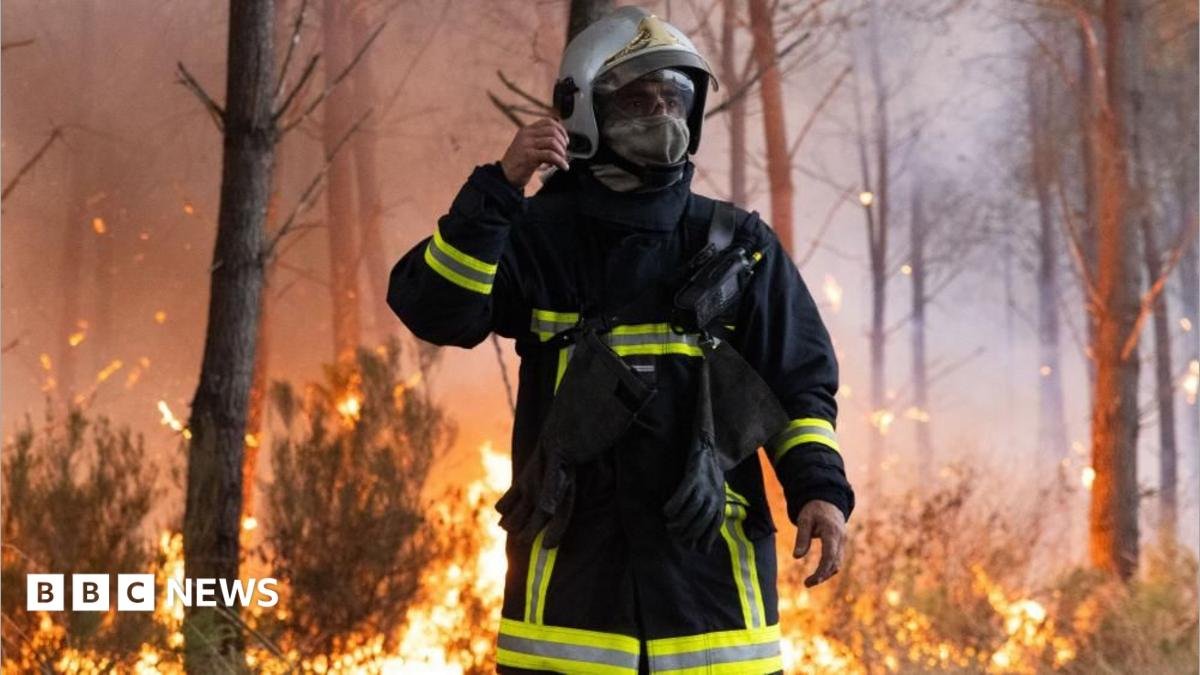 Wildfire now nine miles away from French city of Bordeaux, mayor warns