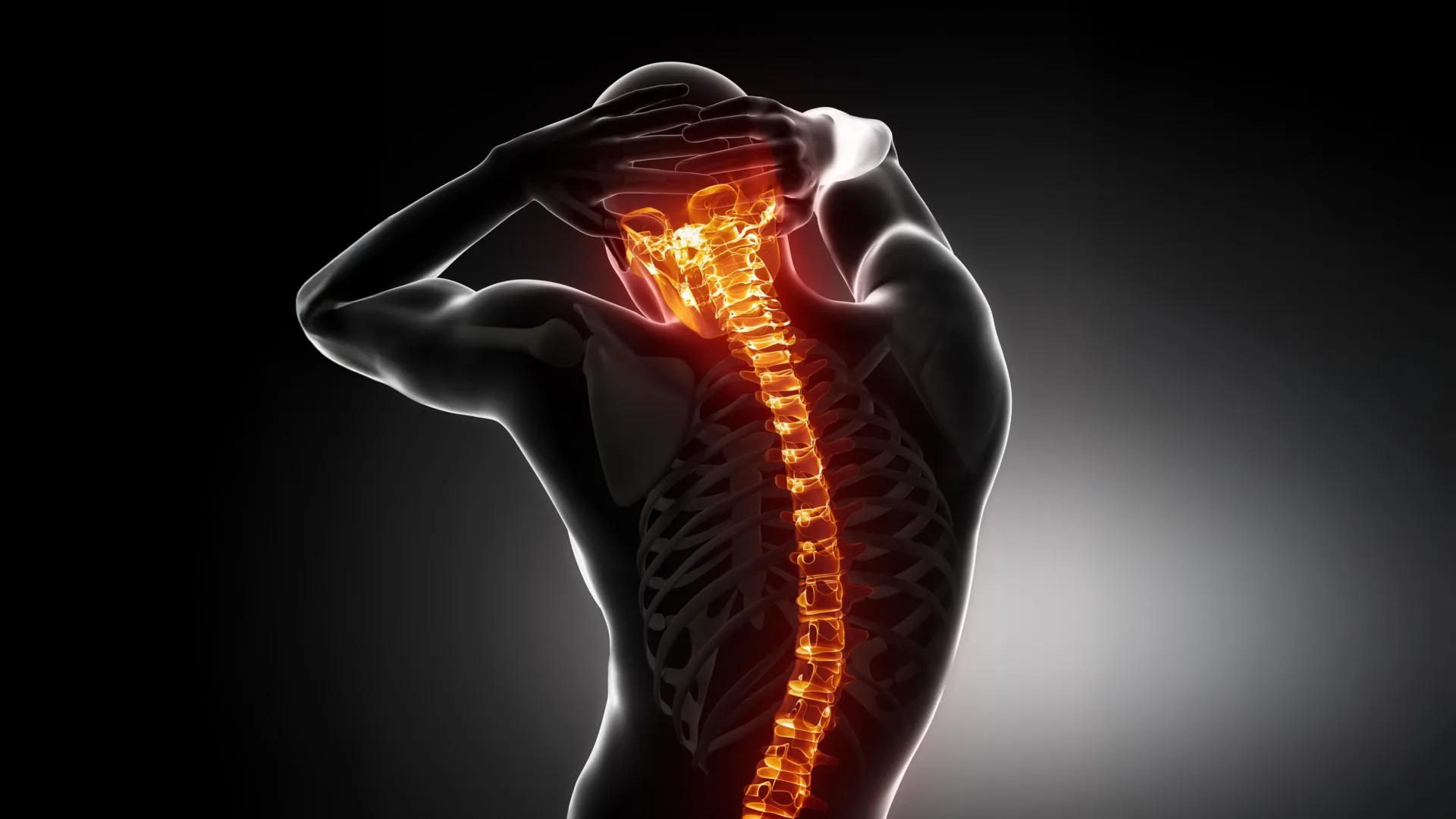 A drug already used for osteoporosis blocked spinal damage in