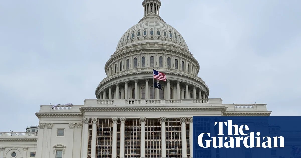 What Happened to Liberal Democracy? by Daron Acemoğlu review – how to fix the system What Happened to Liberal Democracy? by Daron Acemoğlu review – how to fix the system