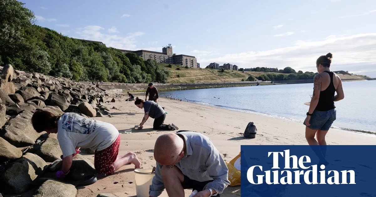 ‘There’s no nurdle fairy’: thousands mobilise to clean up plastic spillage in north-east England